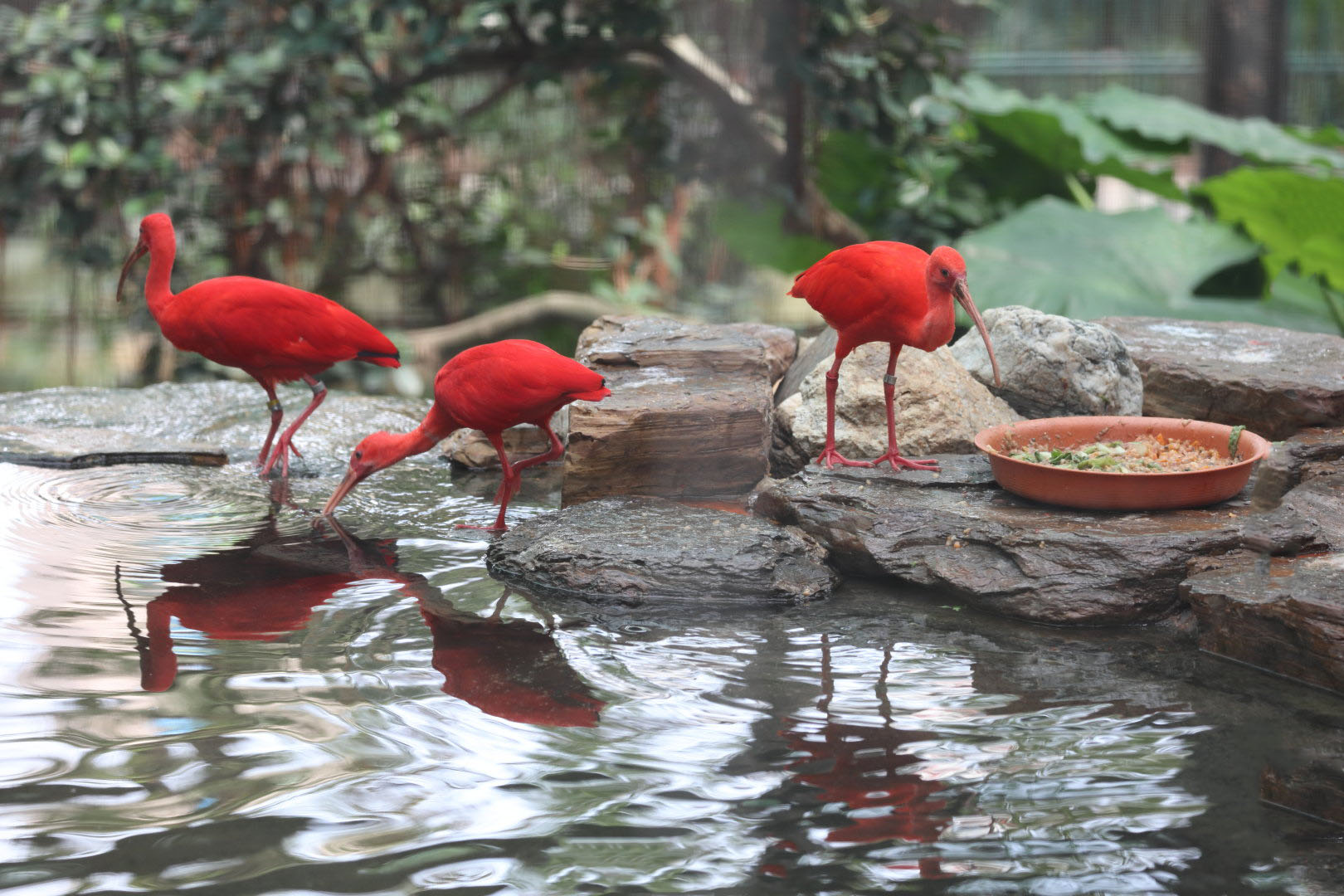 0146a2e57f954da1b454deb033622cf9.jpg 0146a2e57f954da1b454deb033622cf9.jpg